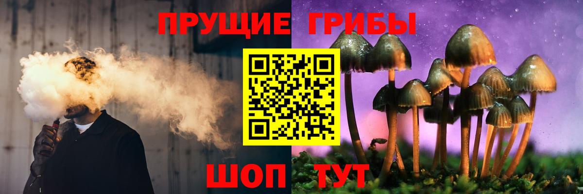 Ногинск  Псилоцибиновые грибы Cubensis  Вход с VPN 